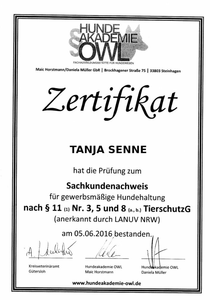 Fortbildung: Zertifikat