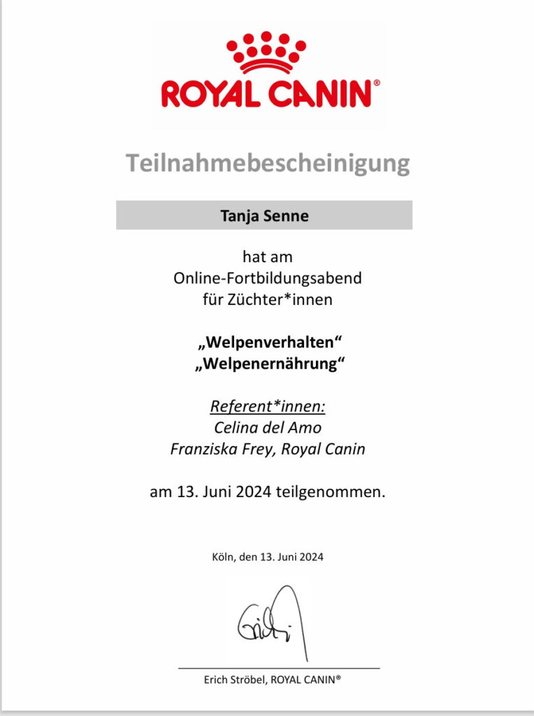 Fortbildung: Welpenverhalten / Welpenernährung